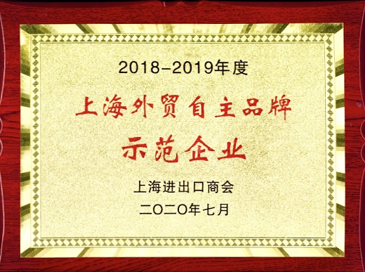 上G环球官方网站 荣誉奖牌