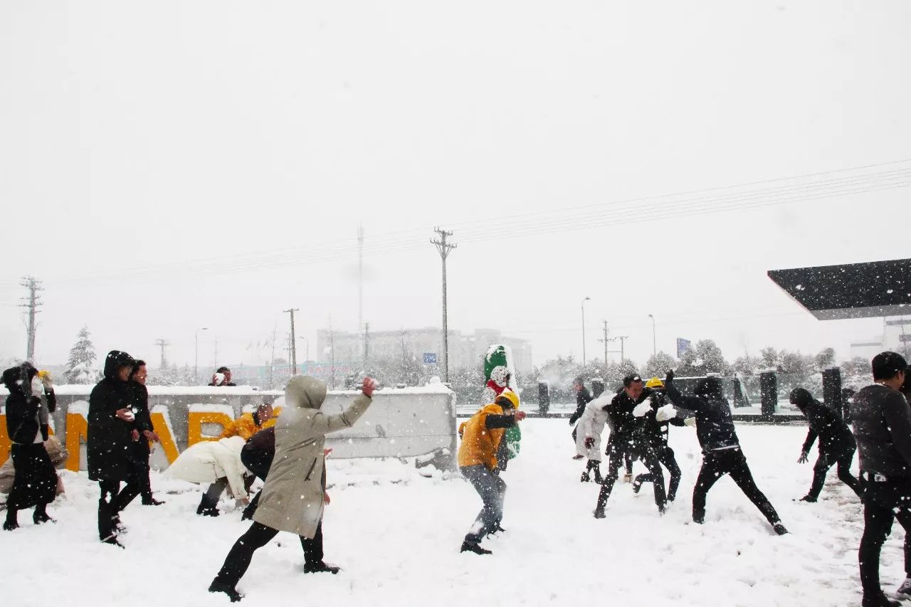 必发7790(中国区)电子集团-线上平台登录入口