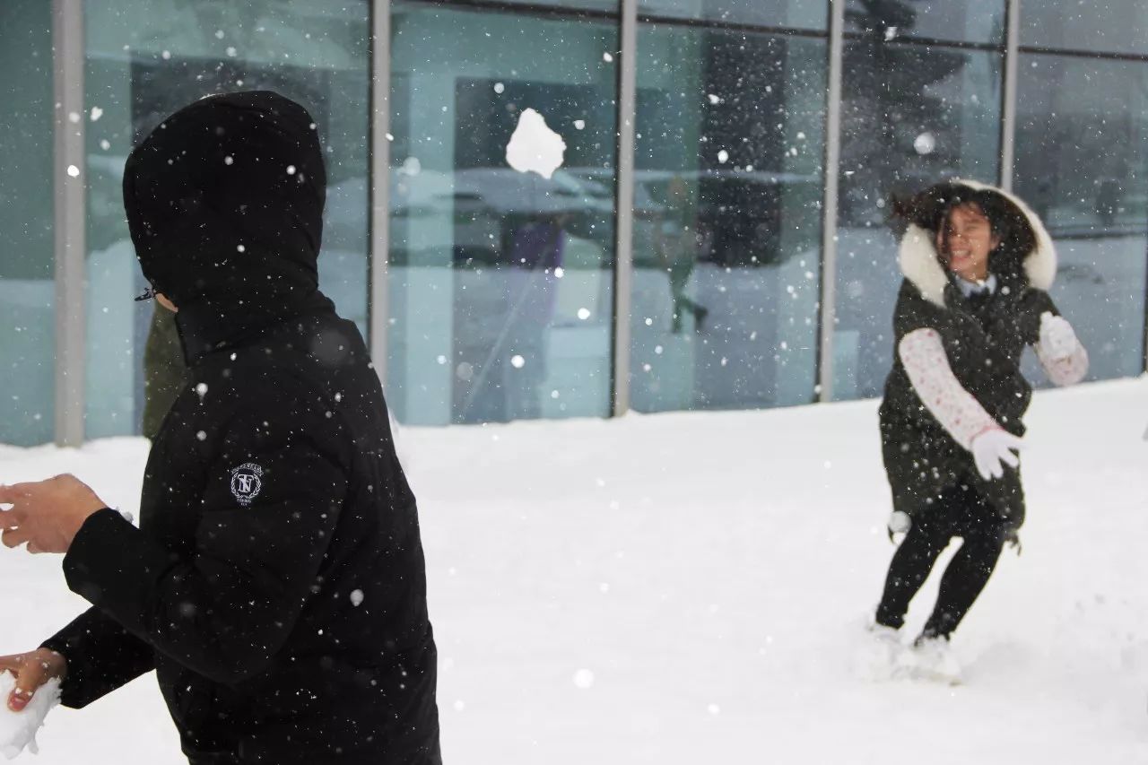 必发7790(中国区)电子集团-线上平台登录入口